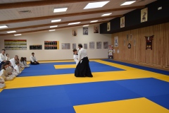 Stage-Aikido-interclubs-du-Tarn-07122024023