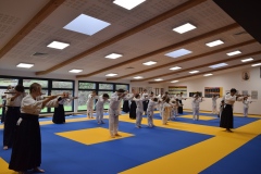 Stage-Aikido-interclubs-du-Tarn-07122024076