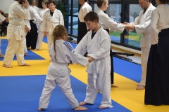Stage-Aikido-interclubs-du-Tarn-07122024101