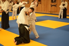 Stage-Aikido-interclubs-du-Tarn-07122024105