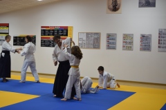 Stage-Aikido-interclubs-du-Tarn-07122024138