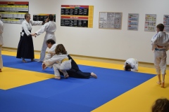 Stage-Aikido-interclubs-du-Tarn-07122024142