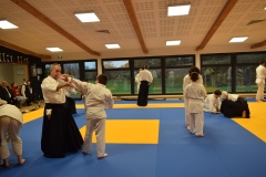 Stage-Aikido-interclubs-du-Tarn-07122024145