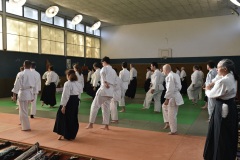 Stage-Aikido-St-Lizier-24112024393