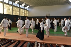 Stage-Aikido-St-Lizier-24112024395