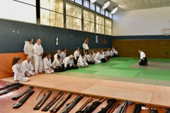 Stage-Aikido-St-Lizier-24112024406