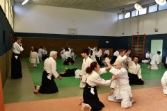 Stage-Aikido-St-Lizier-24112024413