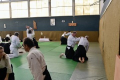 Stage-Aikido-St-Lizier-24112024423