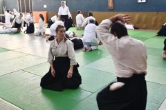 Stage-Aikido-St-Lizier-24112024424