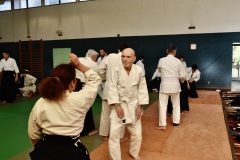 Stage-Aikido-St-Lizier-24112024439