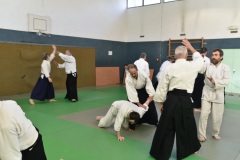 Stage-Aikido-St-Lizier-24112024444