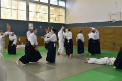 Stage-Aikido-St-Lizier-24112024453