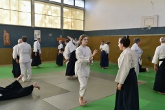 Stage-Aikido-St-Lizier-24112024454