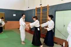 Stage-Aikido-St-Lizier-24112024561