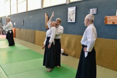 Stage-Aikido-St-Lizier-24112024566