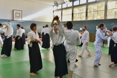 Stage-Aikido-St-Lizier-24112024569