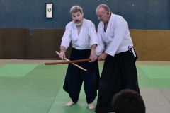 Stage-Aikido-St-Lizier-24112024727