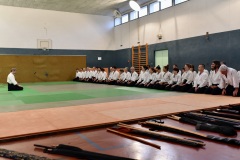 Stage-Aikido-St-Lizier-24112024858