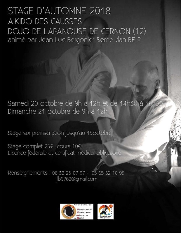 20 & 21 Octobre 2018 - Stage Jean-Luc BERGONIER 5° dan - Lapanouse-de-Cernon (12)