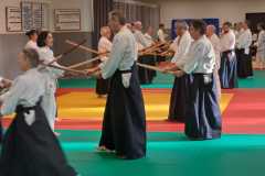 Stage-pour-tous-a-Lavaur-le-7-Janvier-20240013