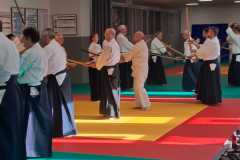 Stage-pour-tous-a-Lavaur-le-7-Janvier-20240023