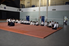 Stage-Aikido-a-Lauzerte-anime-par-Christophe-Bocognani-5eme-Dan-le-06-11-2022187