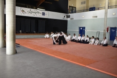 Stage-Aikido-a-Lauzerte-anime-par-Christophe-Bocognani-5eme-Dan-le-06-11-2022190