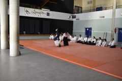 Stage-Aikido-a-Lauzerte-anime-par-Christophe-Bocognani-5eme-Dan-le-06-11-2022191