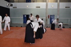 Stage-Aikido-a-Lauzerte-anime-par-Christophe-Bocognani-5eme-Dan-le-06-11-2022199