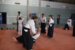 Stage-Aikido-a-Lauzerte-anime-par-Christophe-Bocognani-5eme-Dan-le-06-11-2022201