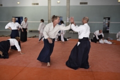 Stage-Aikido-a-Lauzerte-anime-par-Christophe-Bocognani-5eme-Dan-le-06-11-2022207