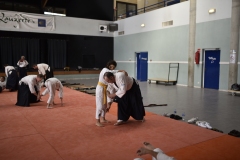 Stage-Aikido-a-Lauzerte-anime-par-Christophe-Bocognani-5eme-Dan-le-06-11-2022226