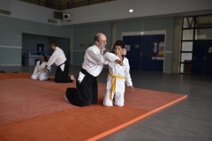 Stage-Aikido-a-Lauzerte-anime-par-Christophe-Bocognani-5eme-Dan-le-06-11-2022246