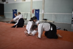 Stage-Aikido-a-Lauzerte-anime-par-Christophe-Bocognani-5eme-Dan-le-06-11-2022263