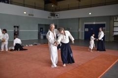 Stage-Aikido-a-Lauzerte-anime-par-Christophe-Bocognani-5eme-Dan-le-06-11-2022270
