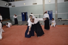 Stage-Aikido-a-Lauzerte-anime-par-Christophe-Bocognani-5eme-Dan-le-06-11-2022271