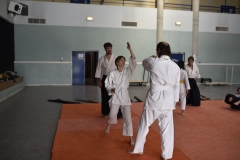 Stage-Aikido-a-Lauzerte-anime-par-Christophe-Bocognani-5eme-Dan-le-06-11-2022293