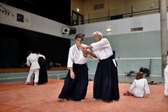 Stage-Aikido-a-Lauzerte-anime-par-Christophe-Bocognani-5eme-Dan-le-06-11-2022411