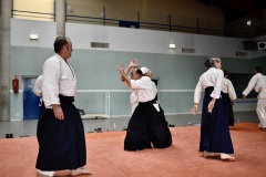 Stage-Aikido-a-Lauzerte-anime-par-Christophe-Bocognani-5eme-Dan-le-06-11-2022413