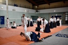 Stage-Aikido-a-Lauzerte-anime-par-Christophe-Bocognani-5eme-Dan-le-06-11-2022462