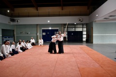 Stage-Aikido-a-Lauzerte-anime-par-Christophe-Bocognani-5eme-Dan-le-06-11-2022477
