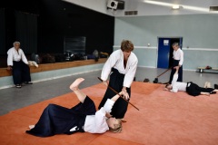 Stage-Aikido-a-Lauzerte-anime-par-Christophe-Bocognani-5eme-Dan-le-06-11-2022484