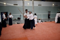 Stage-Aikido-a-Lauzerte-anime-par-Christophe-Bocognani-5eme-Dan-le-06-11-2022488