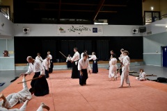 Stage-Aikido-a-Lauzerte-anime-par-Christophe-Bocognani-5eme-Dan-le-06-11-2022495