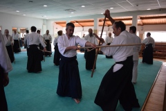 DSC_0678