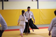 Stage-jeunes-a-Auch-le-3101202699_115