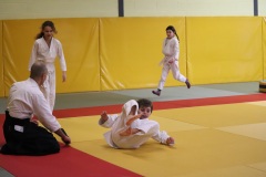 Stage-jeunes-a-Auch-le-3101202699_335