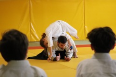 Stage-jeunes-a-Auch-le-3101202699_524