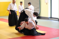 Stage-jeunes-a-Auch-le-3101202699_556