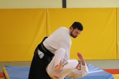 Stage-jeunes-a-Auch-le-3101202699_732